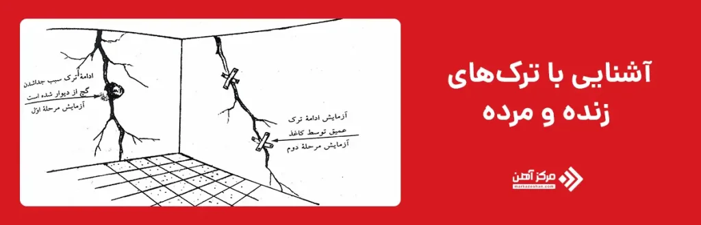 آشنایی با ترک‌های زنده و مرده