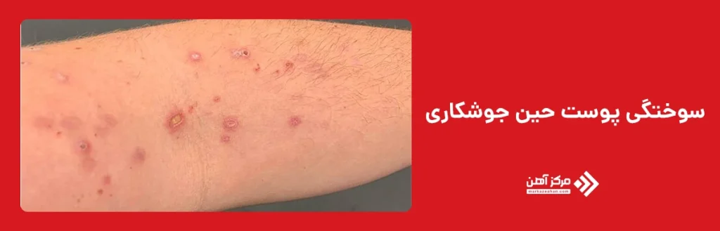 نکات ایمنی