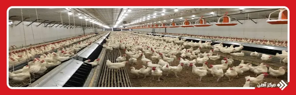 تهویه مناسب و کنترل دما در سوله مرغداری